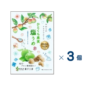 【セット売り】南信州菓子工房　ひとくち果実塩うめ　２０ｇ　賞味期限2026-11-24　3個入り