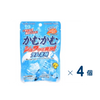 【セット売り】三菱食品　かむかむラムネ 賞味期限2027-01-31  4個入り