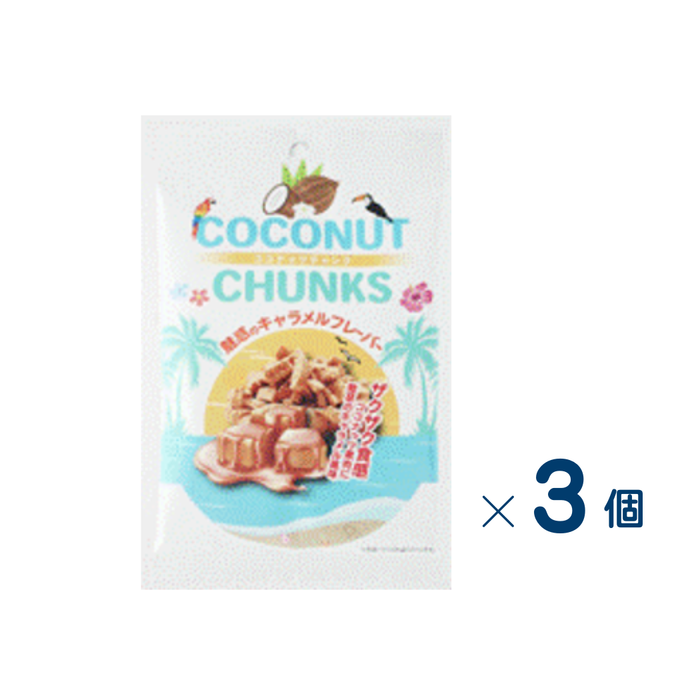 【セット売り】菓楽　ココナッツチャンク魅惑のキャラメルフレーバー　賞味期限2026-12-06　3個