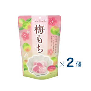 【セット売り】世紀　梅もち　賞味期限2026-08-30　2個入り