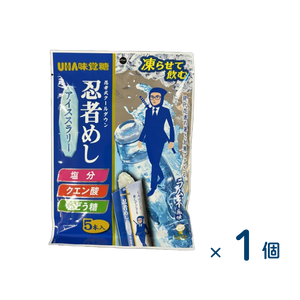 味覚糖 忍者めしアイススラリー（賞味期限2026/08/31）1個入り