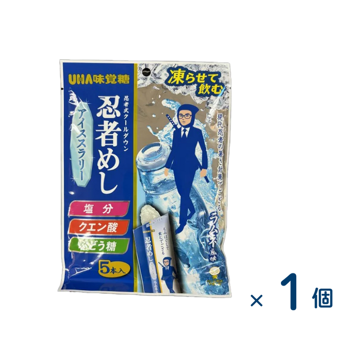味覚糖 忍者めしアイススラリー（賞味期限2026/08/31）1個入り