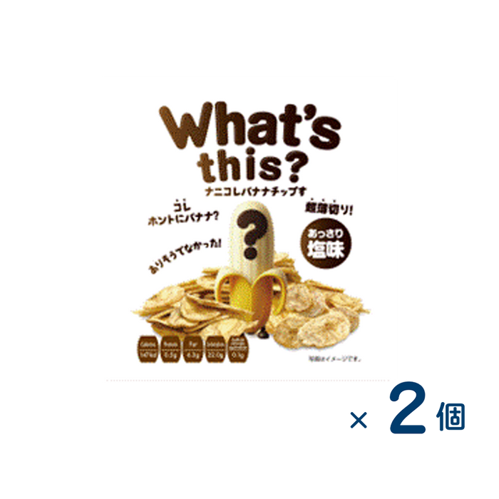 【セット売り】ナニコレバナナチップす あっさり塩味（賞味期限2026/01/14）2個入り