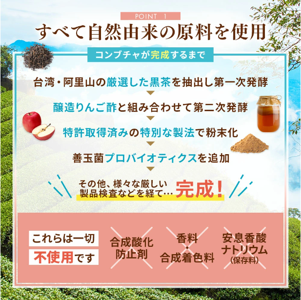 仙台勝山館 発酵紅茶 KOMBUCHA スティックアソート 4g×12本入（賞味期限2025.11.08）1個入り