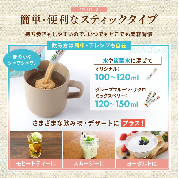 仙台勝山館 発酵紅茶 KOMBUCHA スティックアソート 4g×12本入（賞味期限2025.11.08）1個入り