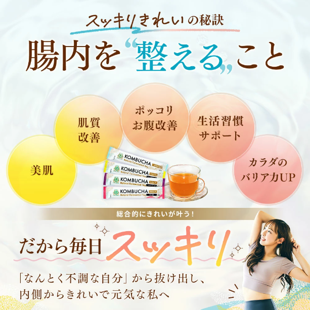 仙台勝山館 発酵紅茶 KOMBUCHA スティックアソート 4g×12本入（賞味期限2025.11.08）1個入り