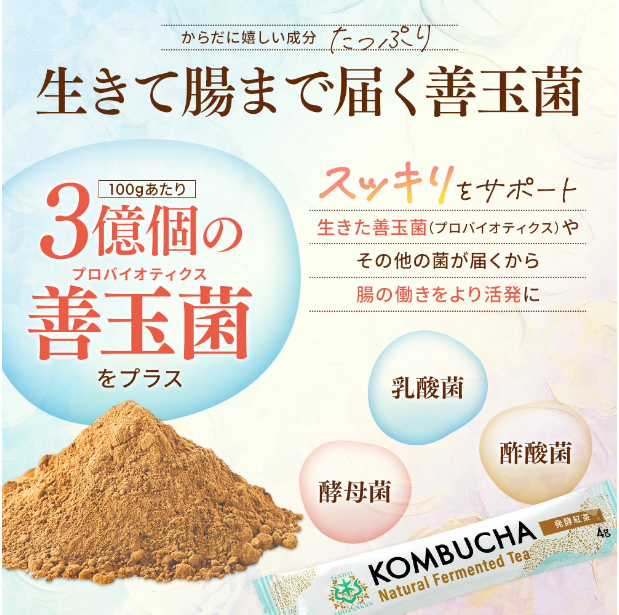 仙台勝山館 発酵紅茶 KOMBUCHA スティックアソート 4g×12本入（賞味期限2025.11.08）1個入り