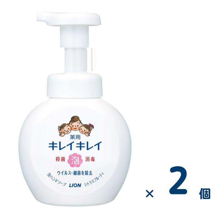 【セット売り】キレイキレイ薬用泡ハンドソープ 本体 250ml 2個入り