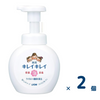 【セット売り】キレイキレイ薬用泡ハンドソープ 本体 250ml 2個入り
