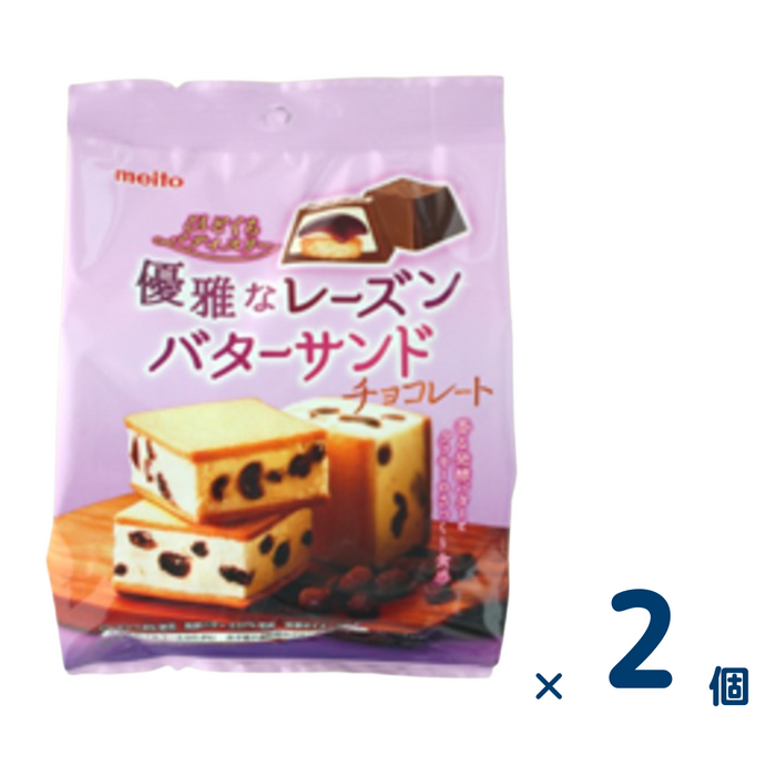 【セット売り】名糖 レーズンバター チョコ（賞味期限2025/6/30） 2個入り