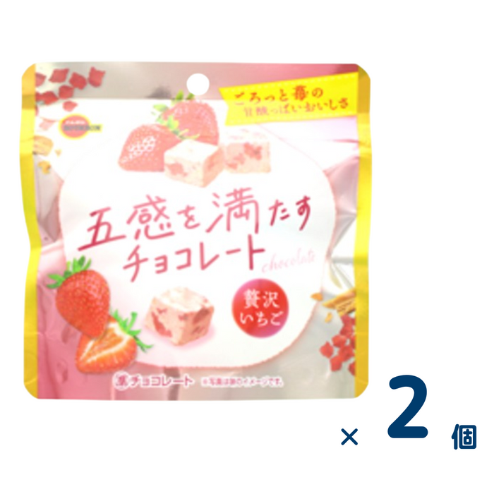 【セット売り】五感を満たすチョコ いちご（賞味期限2025/4/30） 2個入り