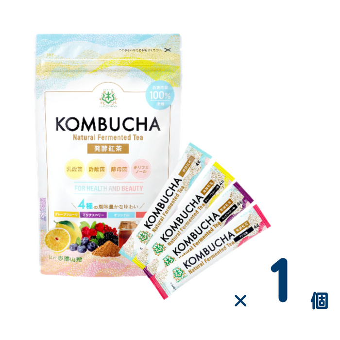 仙台勝山館 発酵紅茶 KOMBUCHA スティックアソート 4g×12本入（賞味期限2025.11.08）1個入り