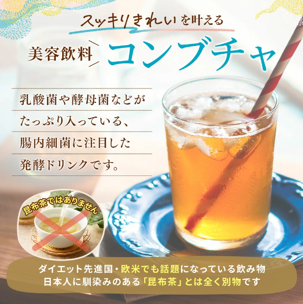 仙台勝山館 発酵紅茶 KOMBUCHA スティックアソート 4g×12本入（賞味期限2025.11.08）1個入り